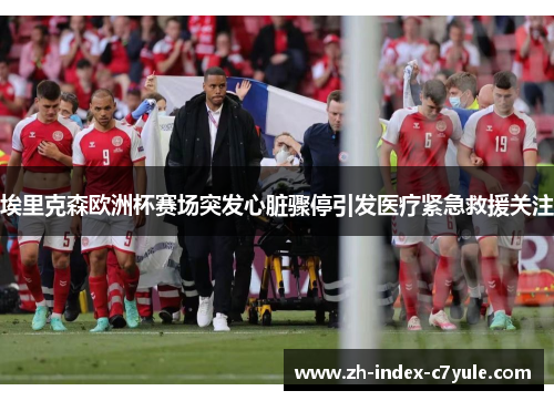 埃里克森欧洲杯赛场突发心脏骤停引发医疗紧急救援关注 埃里克森欧洲杯赛场突发心脏骤停引发医疗紧急救援关注