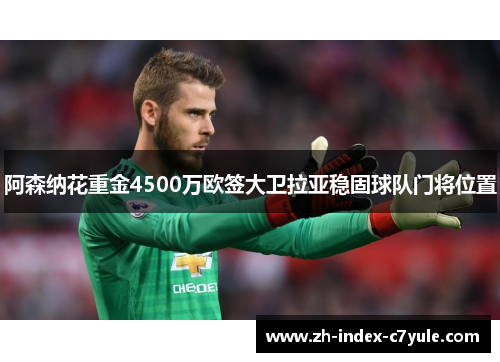 阿森纳花重金4500万欧签大卫拉亚稳固球队门将位置