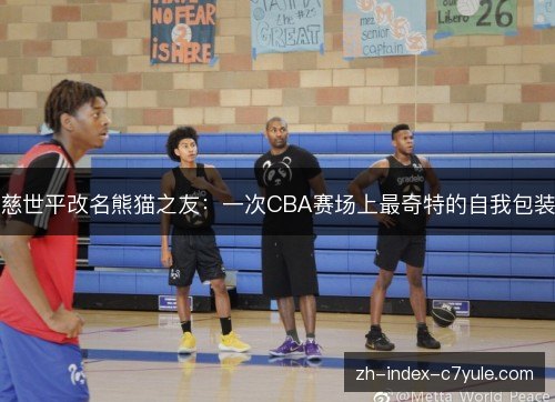 慈世平改名熊猫之友:一次CBA赛场上最奇特的自我包装 慈世平改名熊猫之友:一次CBA赛场上最奇特的自我包装